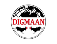 digmaan-logo